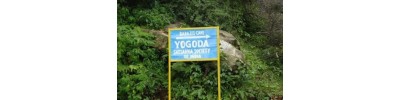 கர்ண பிரயாகை